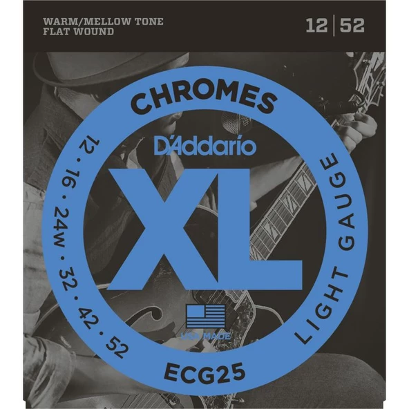 DADDARIO ECG25 ürün görseli 1