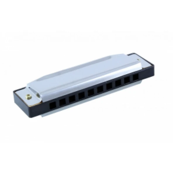 Rizo HC100 10 Delikli C (Do) Mızıka - Resim 2
