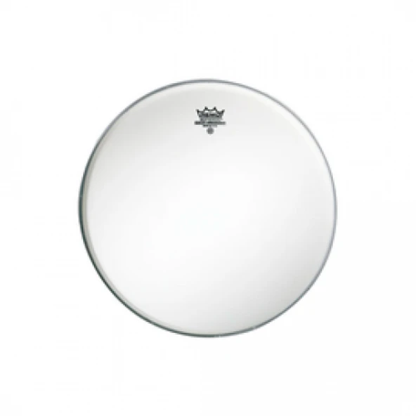 REMO AMBASSADOR BA-0310-00 10 INCH - Resim 2