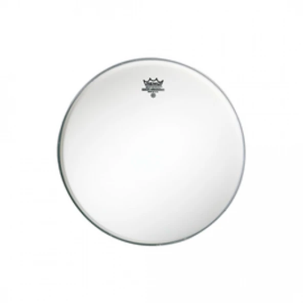 REMO AMBASSADOR BA-0310-00 10 INCH ürün görseli 1