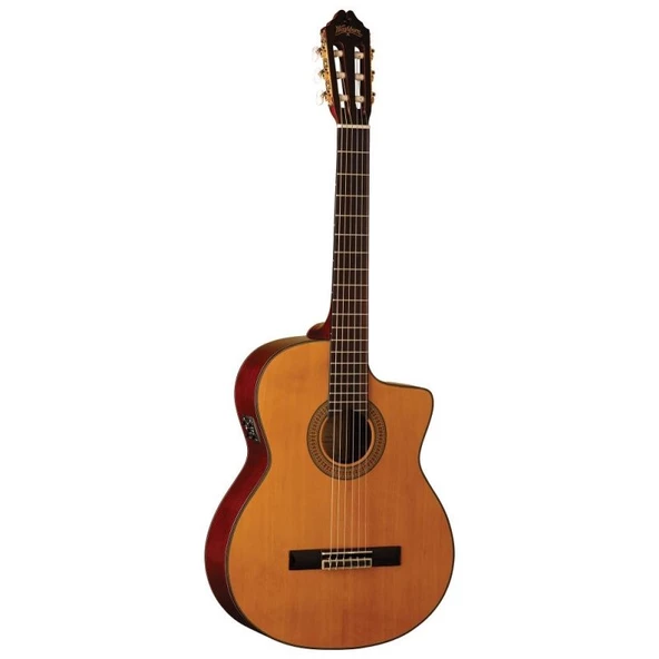 Washburn C64SCE Elektro Klasik Gitar - Resim 2