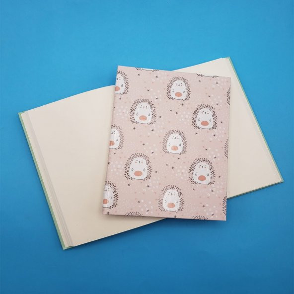 Sevimli Kirpi Temalı çizgisiz Defter ürün görseli 1