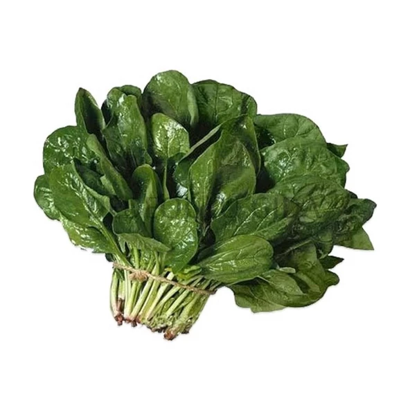 Yerli Ispanak Tohumu 10 gr Paket ürün görseli 1