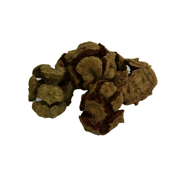 Doğan Selvi Kozalağı Doğal 1000 Gr Paket ürün görseli 1