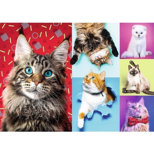 Happy Cats 1000 Parça Çocuk Puzzle Kediler 1000 Parça Kedili Yapboz ürün görseli 1
