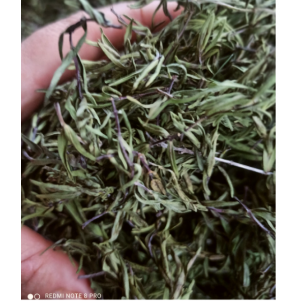 Dağ kekiği zahter (50 gr) - Resim 2