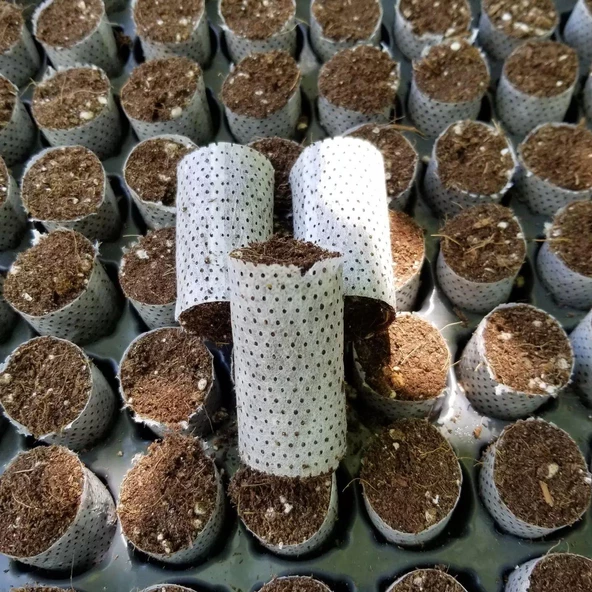 Tohum Ve Çelik Çimlendirme, Köklendirme Toprağı Paper Pot (50 Adet) ürün görseli 1