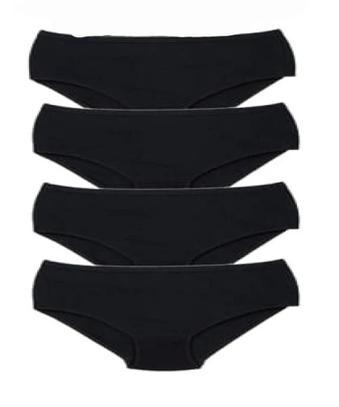 Ceylanoğlu Kadın Ribana Külot C-106 (4 lü Paket) - Resim 6