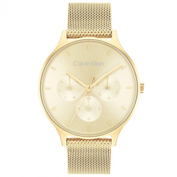 25200103 Calvin Klein Bayan Kol Saati ürün görseli 1