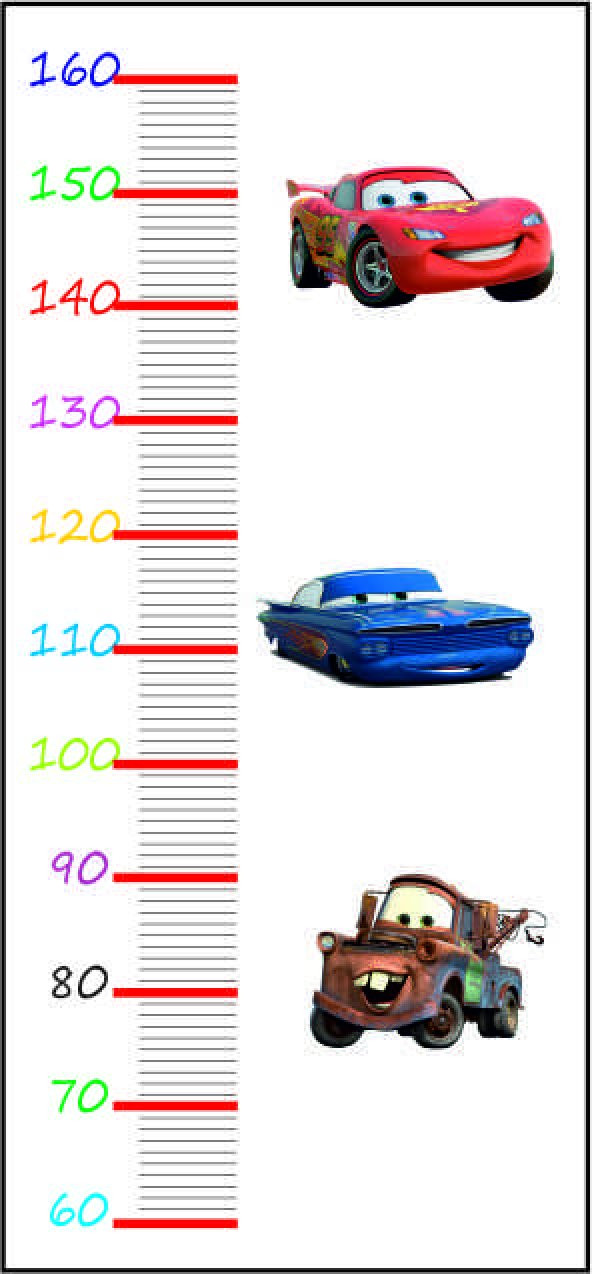 BOY CETVELİ BOY ÖLÇER GELİŞİM ÇİZELGESİ ürün görseli 1