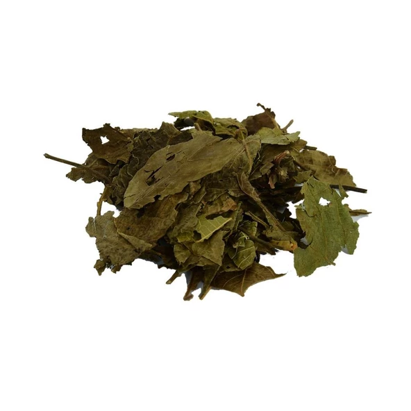 Doğal Ceviz Yaprağı Saf Ceviz Yaprak 100GR Paket ürün görseli 1