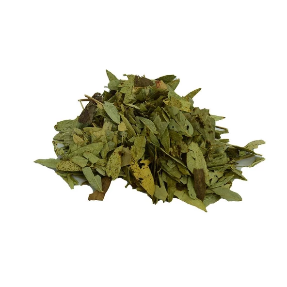 Doğal Sinameki Yaprağı Saf Yaprak Sinameki Otu 100GR Paket ürün görseli 1