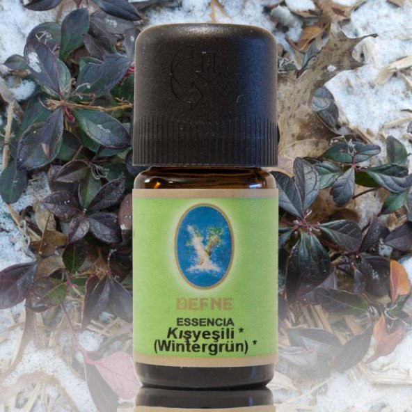 Nuka Kış Yeşili Yağı - 5 ml. (Organik) ürün görseli 1