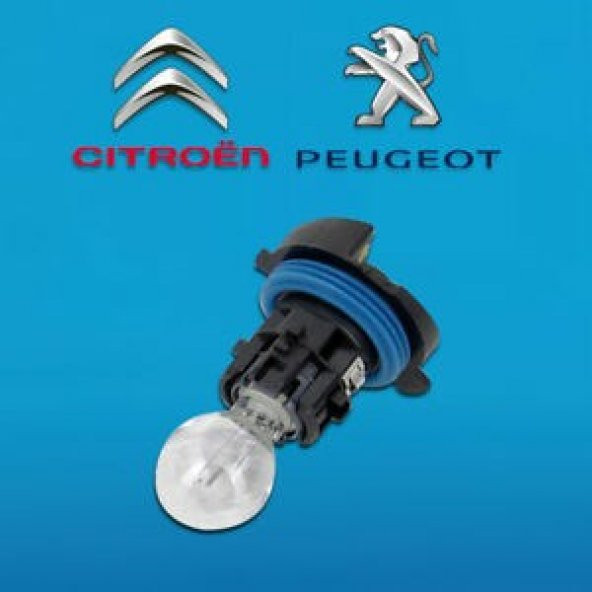 GÜNDÜZ FAR AMPÜLÜ KOMPLE DUYLU 12V-HP24W  3008-5008-C5 ürün görseli 1
