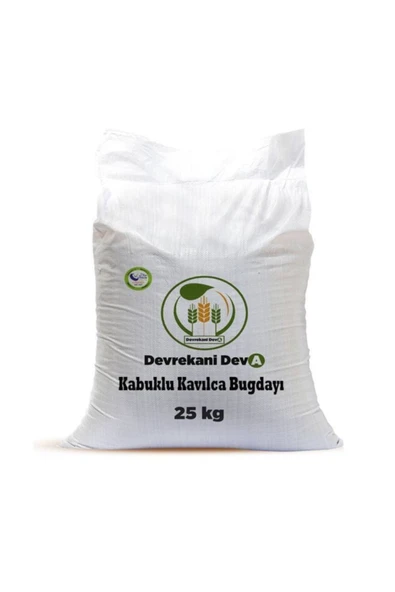 KAVILCA BUĞDAYI KABUKLU 25KG ürün görseli 1