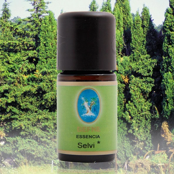 Nuka Defne Essencia Organik Servi (Selvi) Yağı 5 ML ürün görseli 1