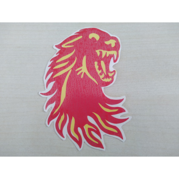 EJDERHA STİCKER 10x6cm DRAGON STİCKER, EJDERHA ETİKETİ, EJDERHA ÇIKARTMASI ürün görseli 1