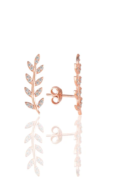 Gümüş rose zirkon taşlı yaprak küpe SGTL11679ROSE ürün görseli 1