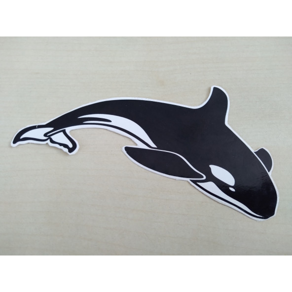 KÖPEK BALIĞI STİCKER 14x6cm - shark KÖPEK BALIĞI  ETİKETİ,  KÖPEK BALIĞI ÇIKARTMASI ürün görseli 1