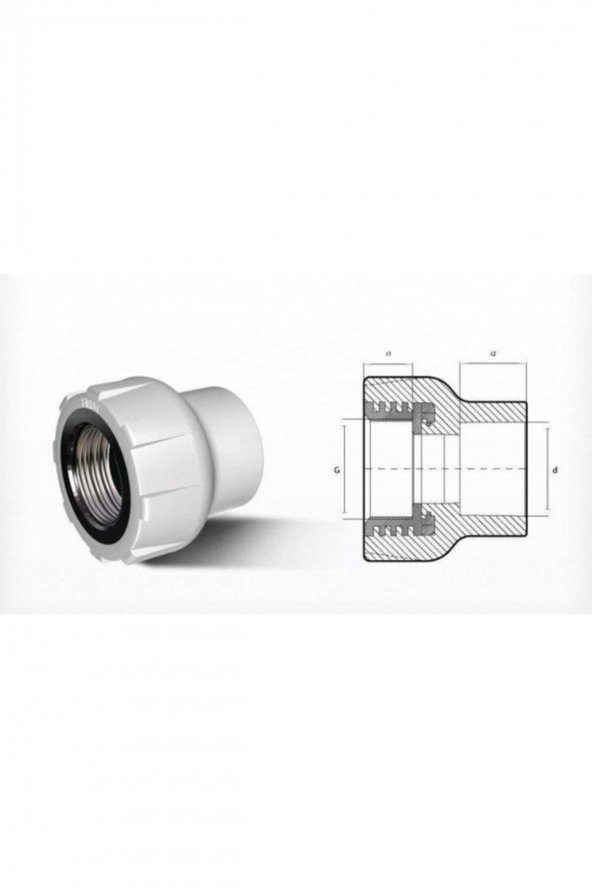 Pprc 25mm-3/4" Iç Dişli Rekor - Resim 2