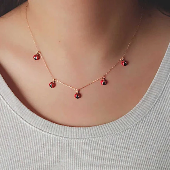 Gümüş Rose Uğur Böceği Şans Kadın Kolye - Resim 2