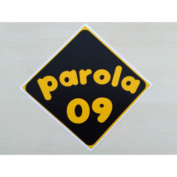 PLAKA 09 STİCKER SİYAH 11x11cm AYDIN PLAKA STİCKER, PAROLA 09 PLAKA ETİKETİ, 09 PLAKA ÇIKARTMASI ürün görseli 1