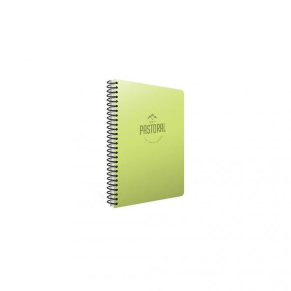 Gıpta Pastoral 96 Yp. A4 Spiralli Pp. Kapak Defter Çizgili ürün görseli 1