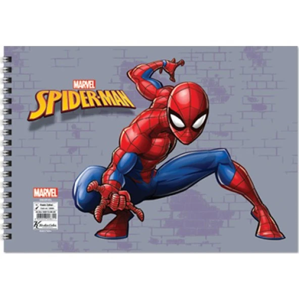 Spider 17*25 15 Yp.Resim Defteri - Resim 3