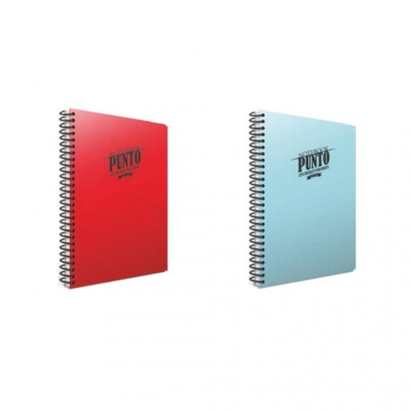 Gıpta Punto 60 Yp. A4 Spiralli Pp. Kapak Defter Seti Kareli 2li ürün görseli 1