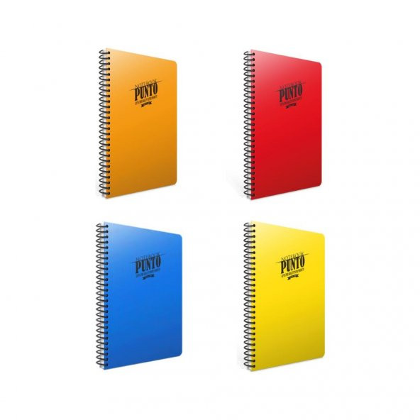 Gıpta Punto 60 Yp. A4 Spiralli Pp. Kapak Defter Kareli 4lü ürün görseli 1