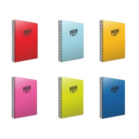 Gıpta Punto 160 Yp. A4 Spiralli Pp. Kapak Defter Seti Kareli 6lı ürün görseli 1