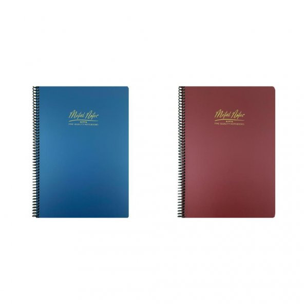 Gıpta Metal Notes A4 Spiralli Defter PP Kapak 100 Yaprak Kareli 2Lİ ürün görseli 1