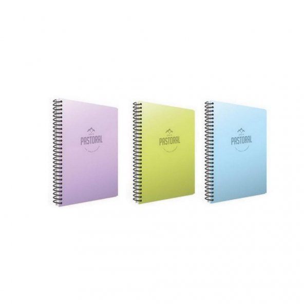 Gıpta Pastoral 120 Yp. A4 Spiralli Pp. Kapak Defter 2 Kareli + 1 Çizgili ürün görseli 1