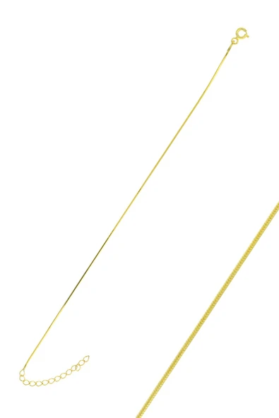 Gümüş altın yaldızlı yılan zincir halhal SGTL11752GOLD ürün görseli 1