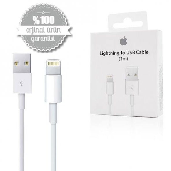 PTTAVM: Day Orjinal Apple AirPods Pro Lightning USB Data Şarj Kablosu