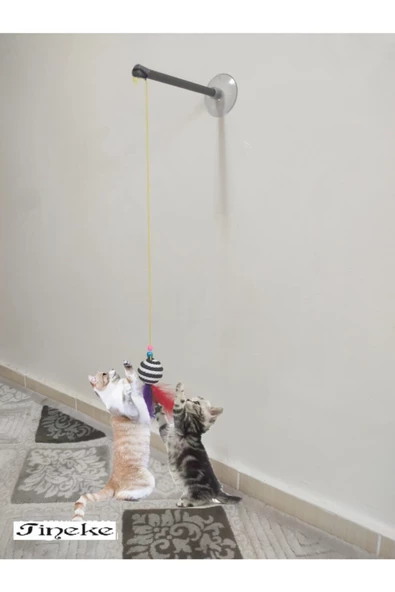 Vantuzlu Kedi Oltası Kedi Oyuncağı ürün görseli 1