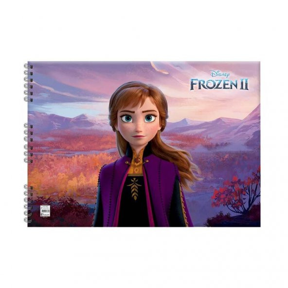 FROZEN RESIM DEFTERI 35X50CM 15 YP ANNA 300315 ürün görseli 1