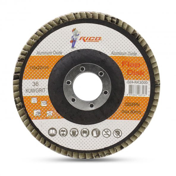 Rico Avuç İçi Taşlama Flap Disk Zımpara 115 mm 36 Kum ürün görseli 1