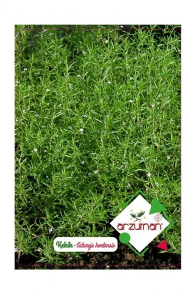 KEKİK TOHUMU 100 ADET ürün görseli 1