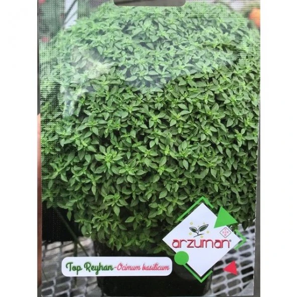 TOP FESLEĞEN (TOP REYHAN) TOHUMU 100 ADET ürün görseli 1