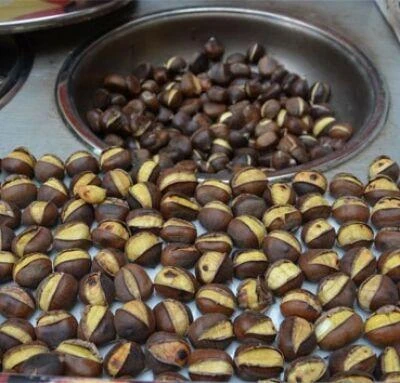 Gazlı Kestane Kebap Mısır Patlatma Arabası ürün görseli 1