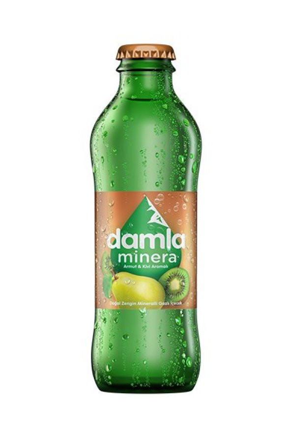 DAMLA ARMUT KİVİ 200 ML ürün görseli 1