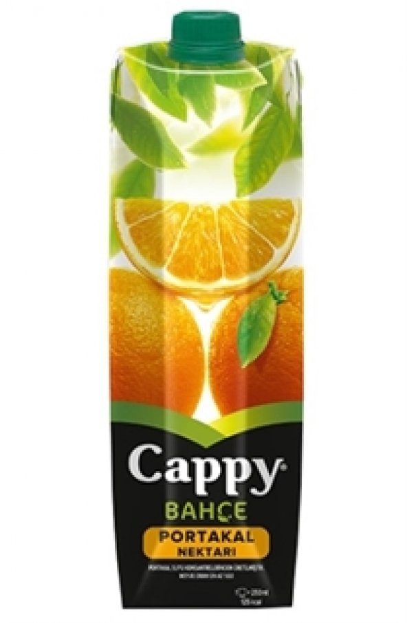 Cappy portakal 1lt ürün görseli 1