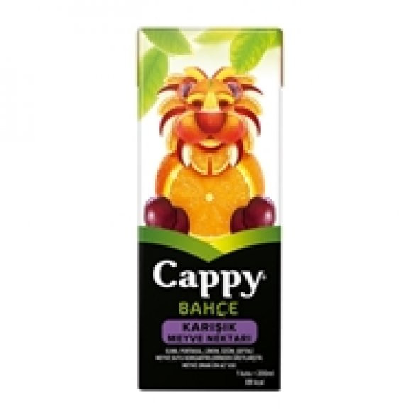 CAPPY Mini Karışık  MEYVE SUYU 200 ml ürün görseli 1