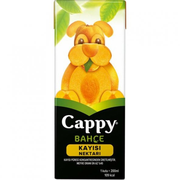 CAPPY KAYISI 200 ML ürün görseli 1