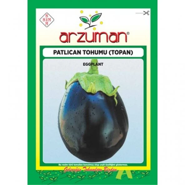 ARZUMAN TOPAN PATLICAN TOHUMU 10 GR ürün görseli 1