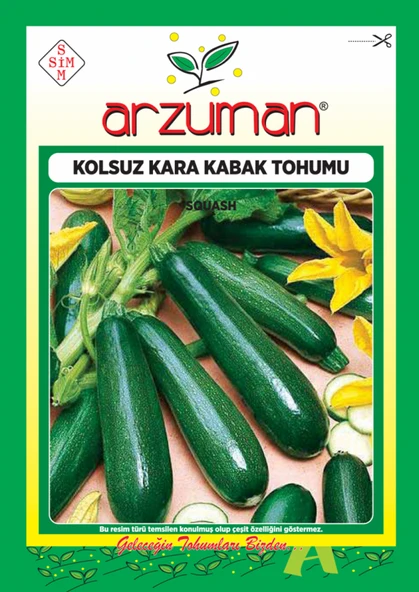ARZUMAN KOLSUZ KARA KABAK ( SİYAH ) TOHUMU 10 GR ürün görseli 1