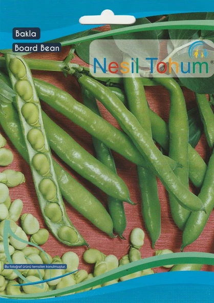 NESİL BAKLA TOHUMU 25 GRAM ürün görseli 1