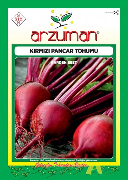 ARZUMAN KIRMIZI PANCAR TOHUMU 10 GR ürün görseli 1