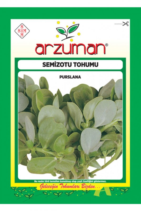 SEMİZOTU TOHUM (TOROS NAZLISI )10 GR ürün görseli 1